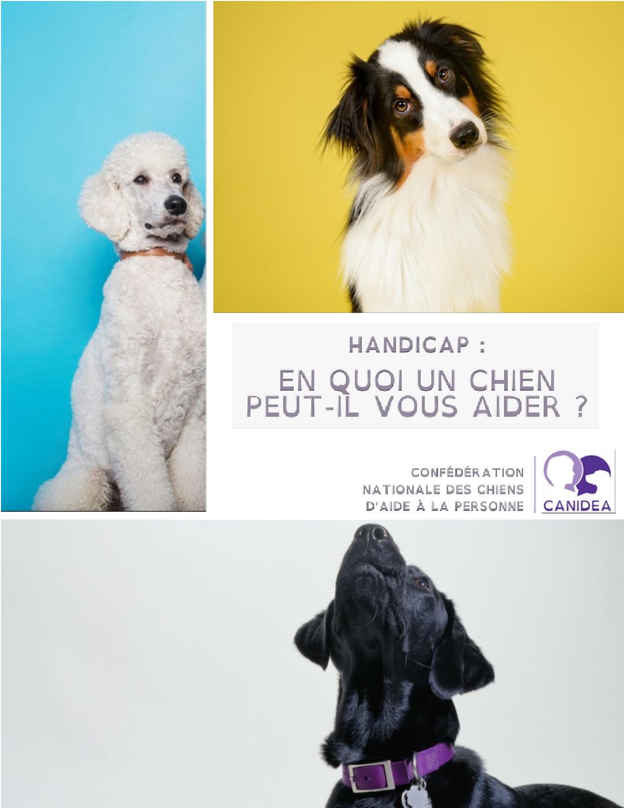 CANIDEA -Brochure chiens guides-assistance-page-001