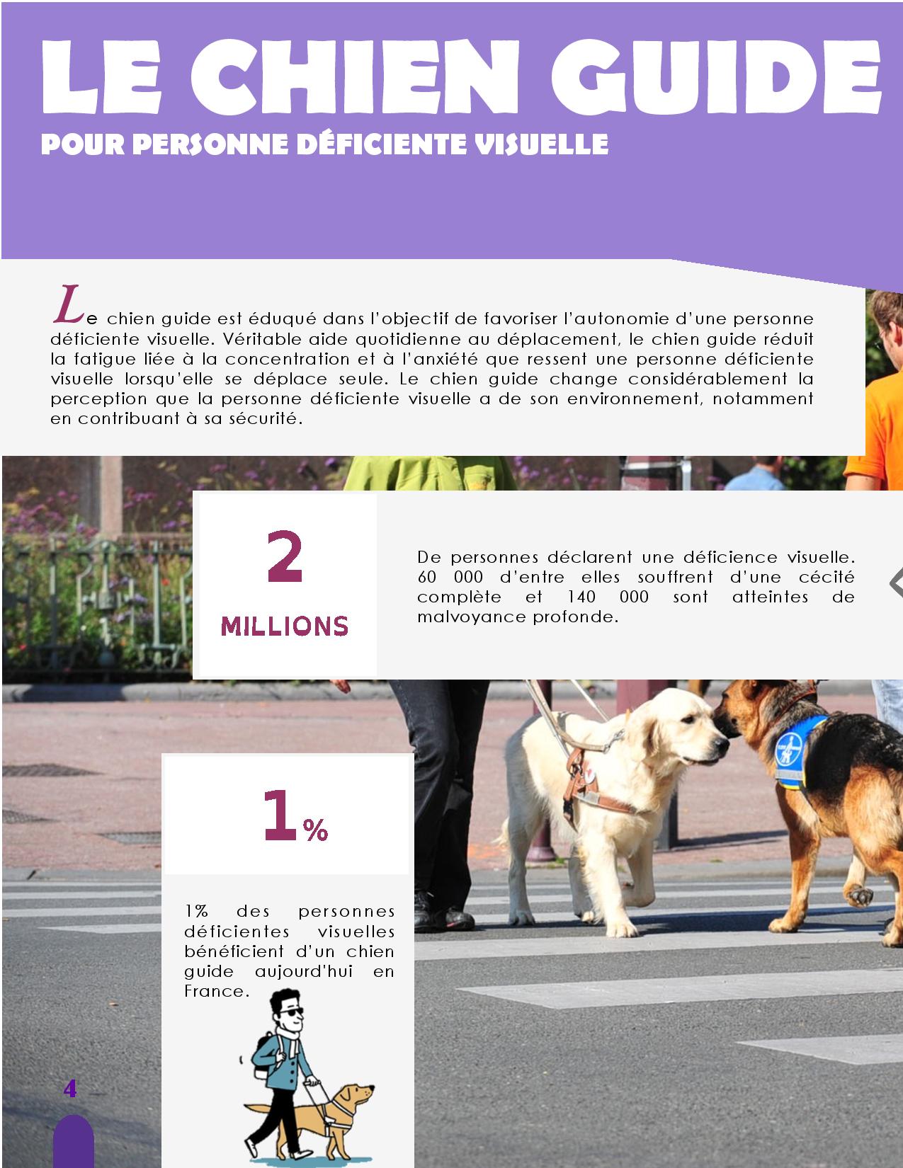 CANIDEA -Brochure chiens guides-assistance-page-004