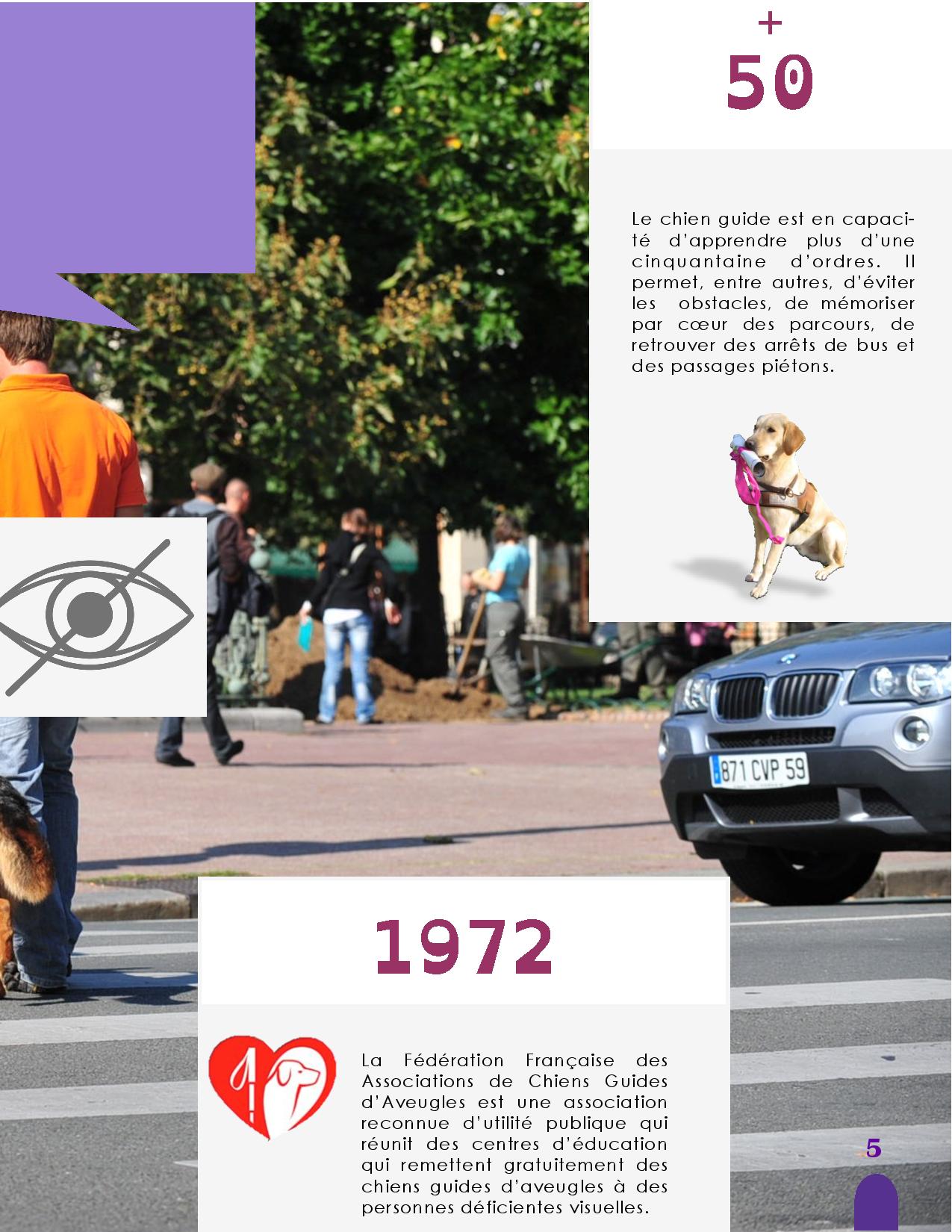 CANIDEA -Brochure chiens guides-assistance-page-005