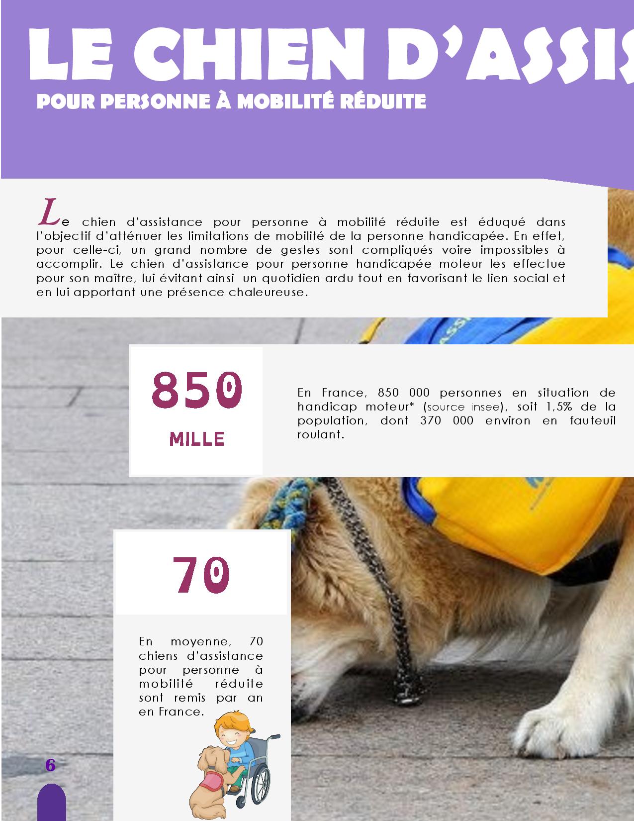 CANIDEA -Brochure chiens guides-assistance-page-006