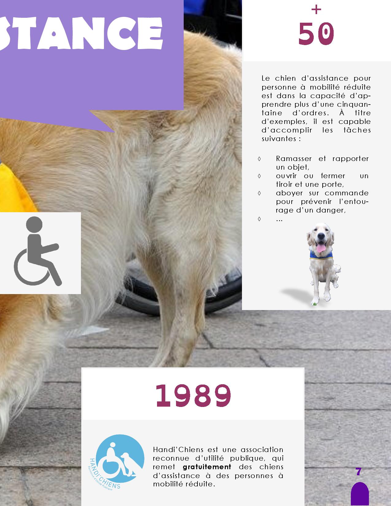 CANIDEA -Brochure chiens guides-assistance-page-007