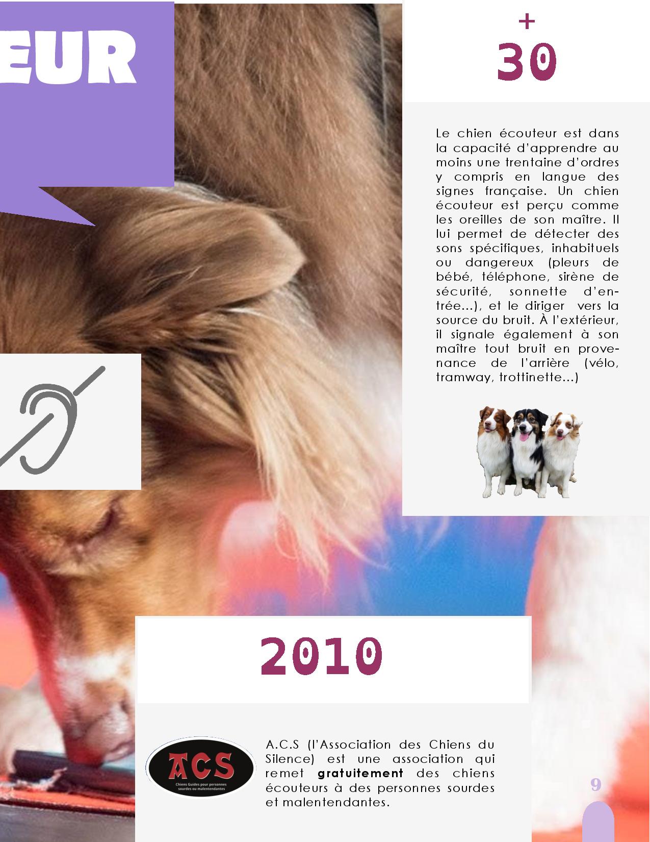 CANIDEA -Brochure chiens guides-assistance-page-009