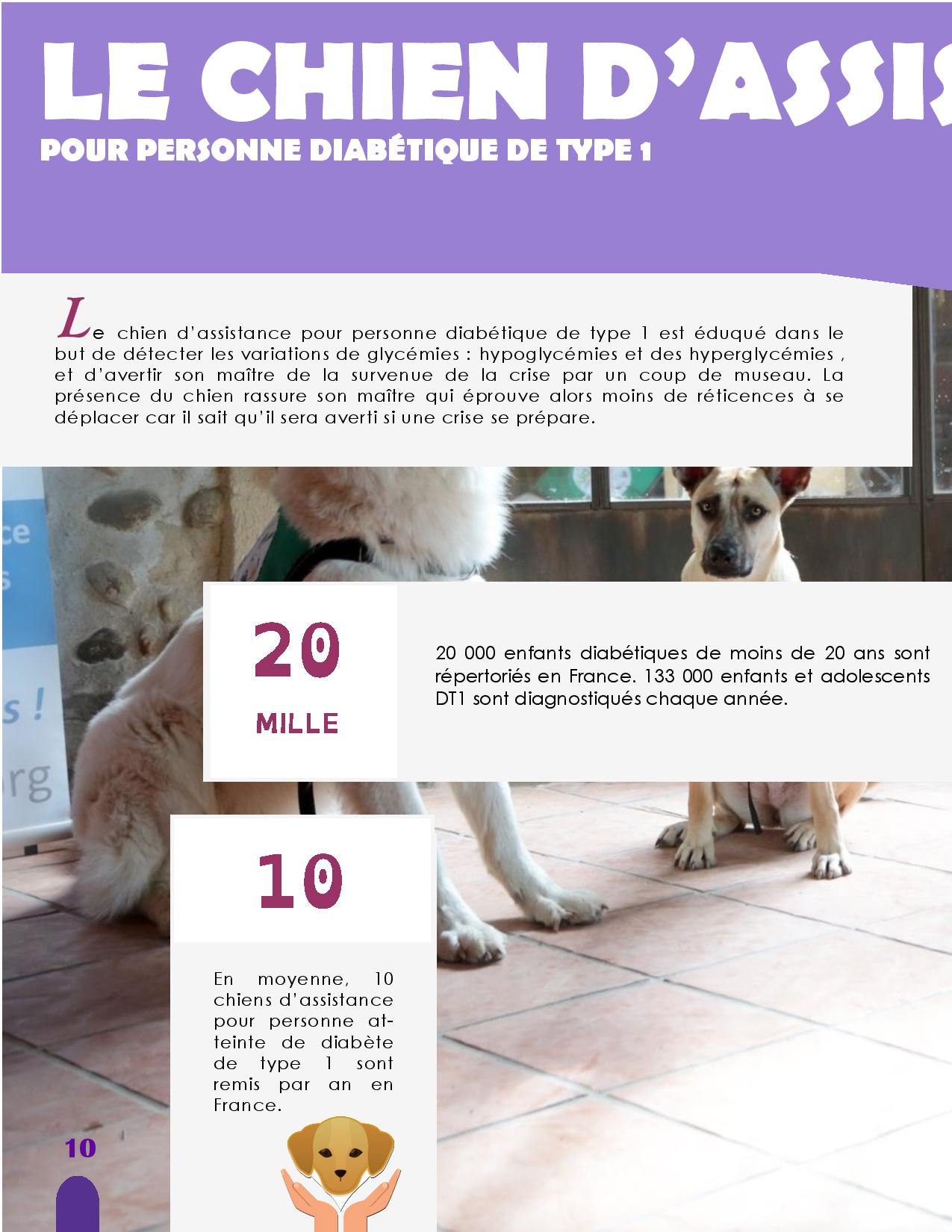 CANIDEA -Brochure chiens guides-assistance-page-010