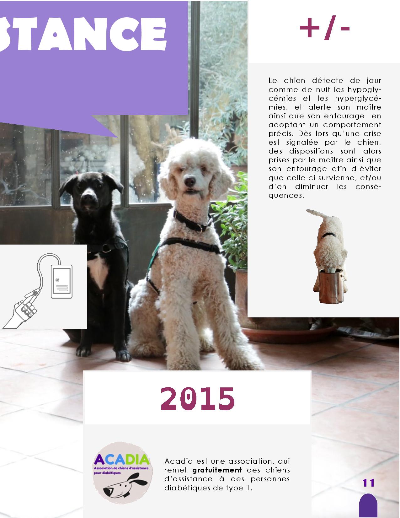 CANIDEA -Brochure chiens guides-assistance-page-011