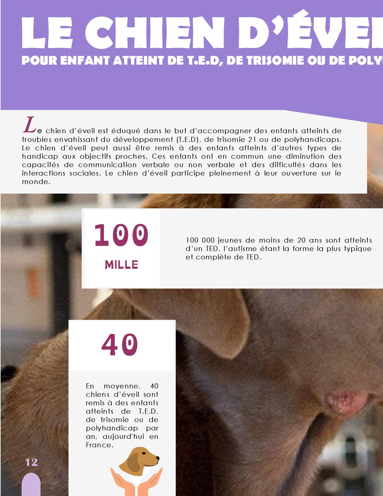 CANIDEA -Brochure chiens guides-assistance-page-012