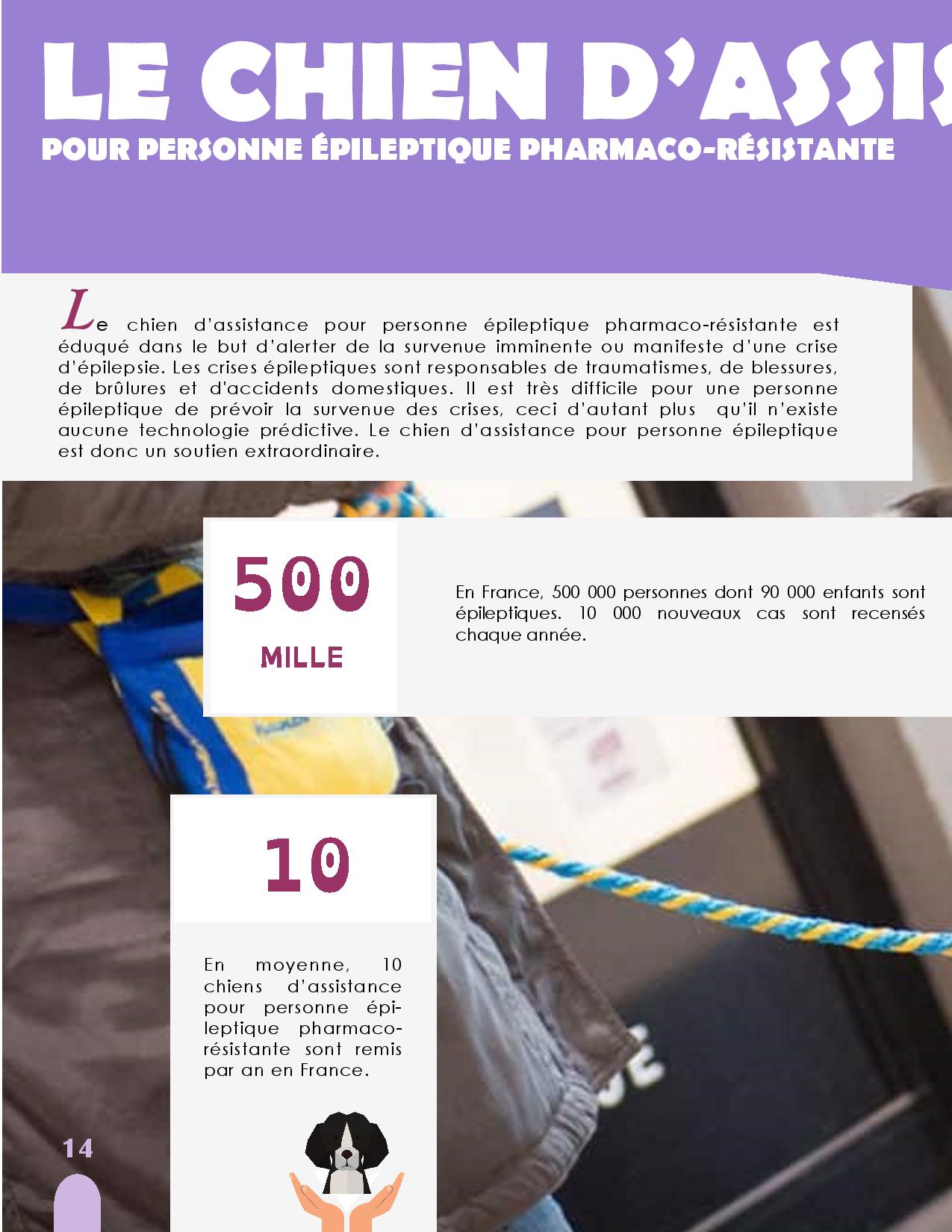 CANIDEA -Brochure chiens guides-assistance-page-014
