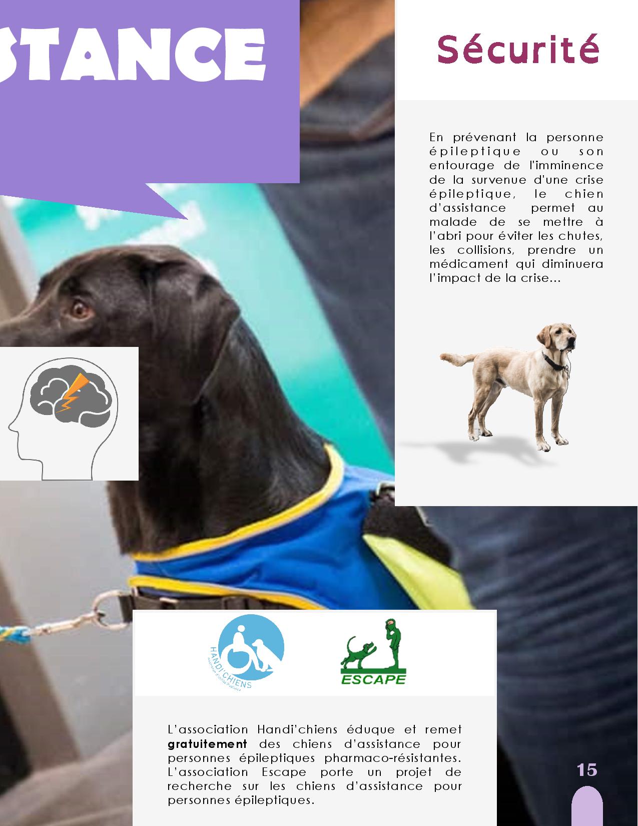 CANIDEA -Brochure chiens guides-assistance-page-015