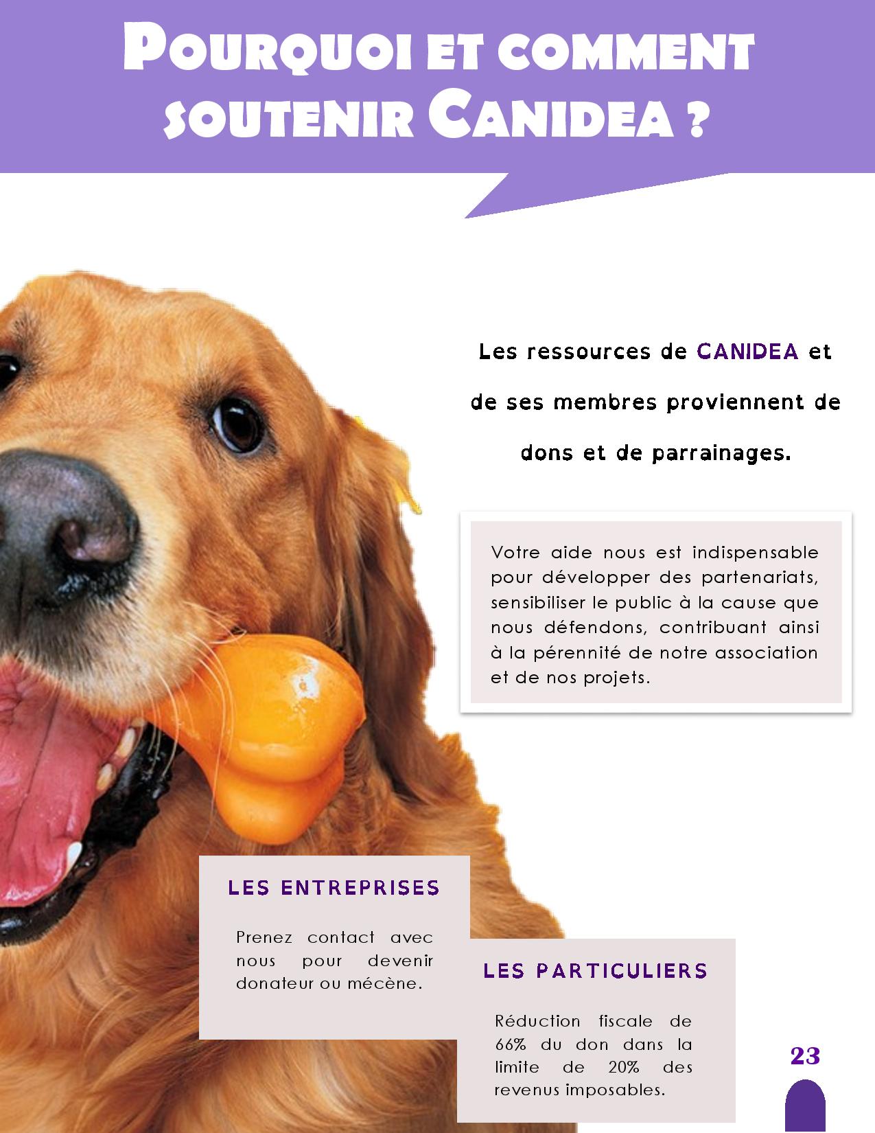 CANIDEA -Brochure chiens guides-assistance-page-023