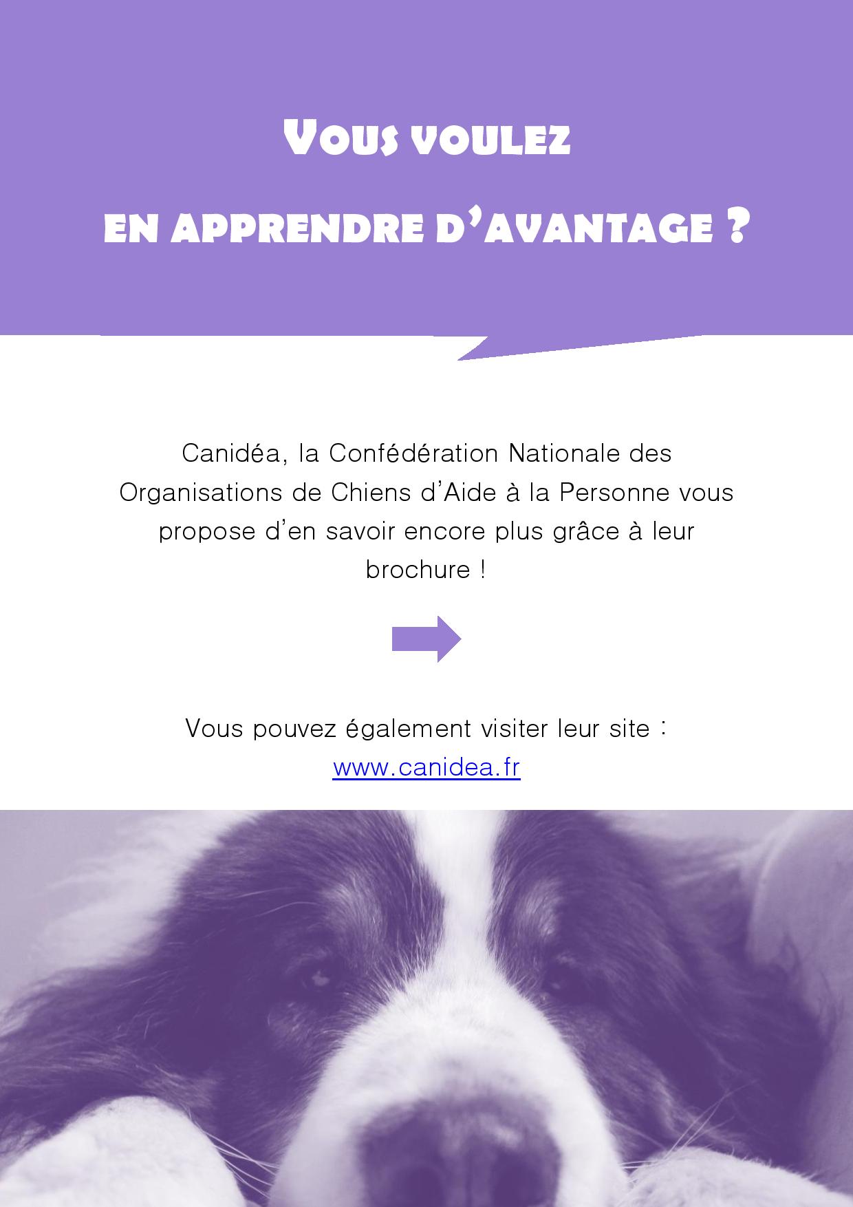 canidea - en apprendre plus sur les chiens guide et d assistance-page-001